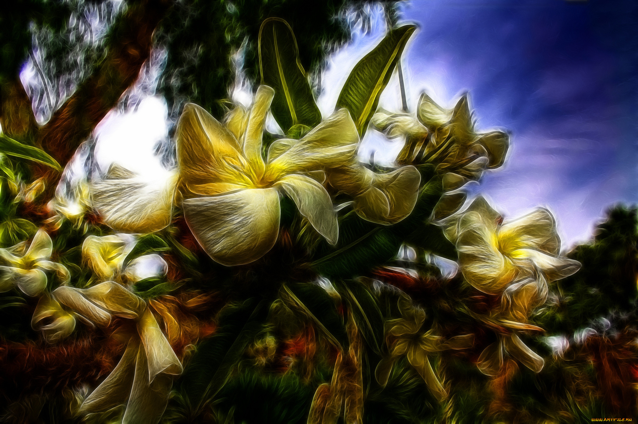 jungle flowers, ,  , , , 
